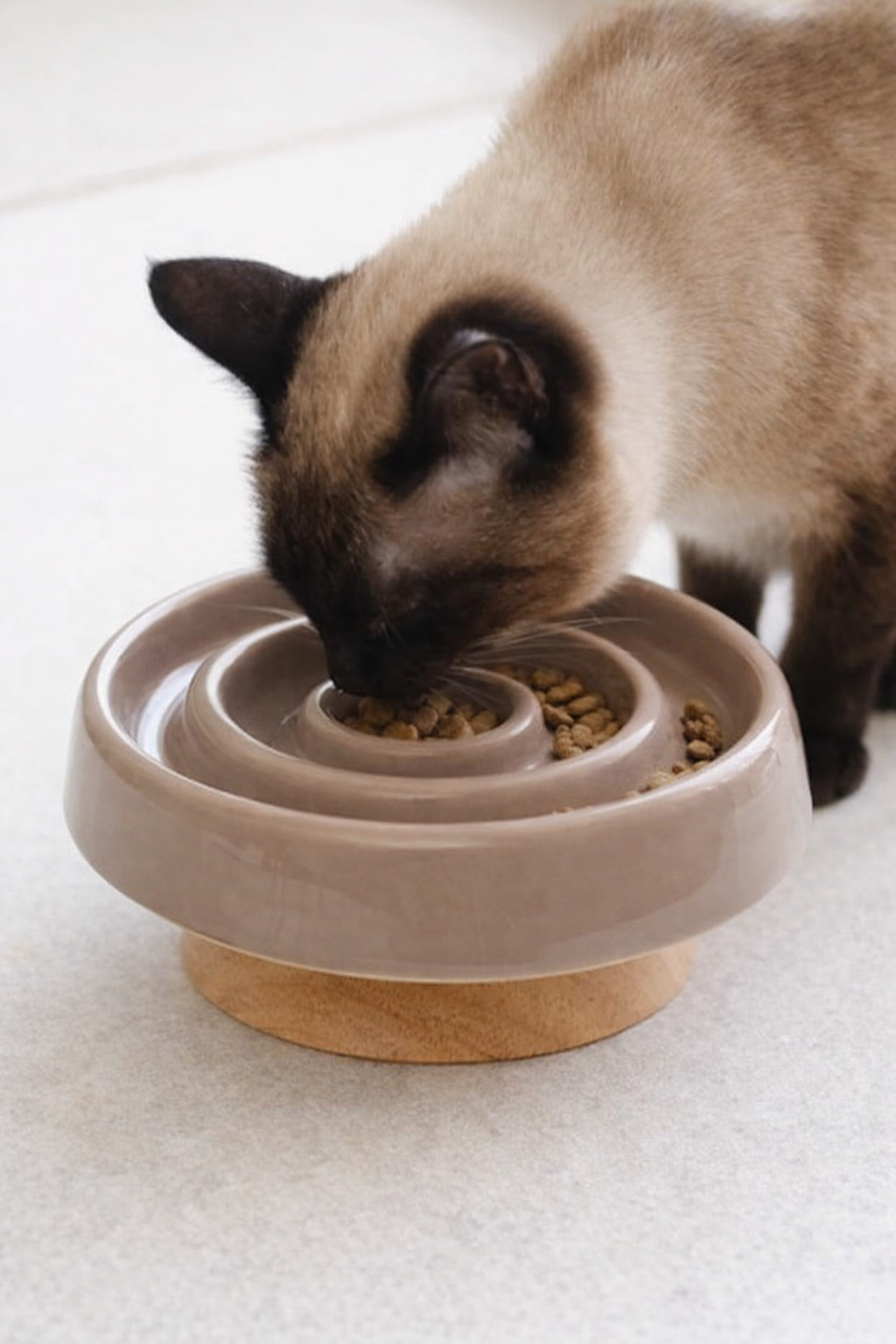 Anti-Gulping Ceramic Slow Feeder Bowl