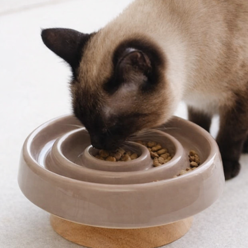 Anti-Gulping Ceramic Slow Feeder Bowl